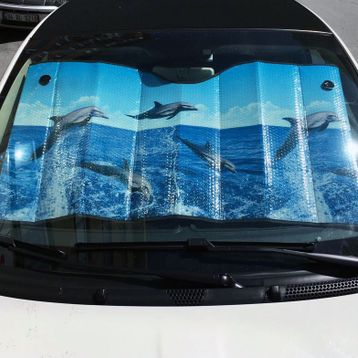 Dreamcar 1103501 Metalize Balonlu 60 x 130 cm Manzaralı Güneşlik
