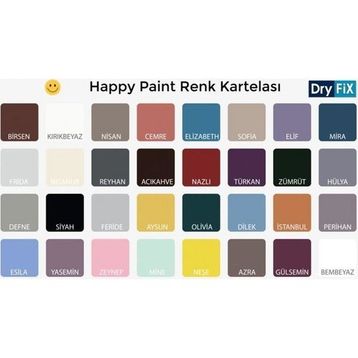 Dryfix Happy Paint Parlak Vernikli Frida 350 cc Hobi Boyası