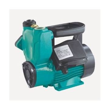 Duffmart QSM600 Su Pompası