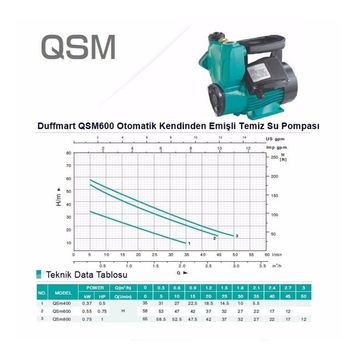 Duffmart QSM600 Su Pompası