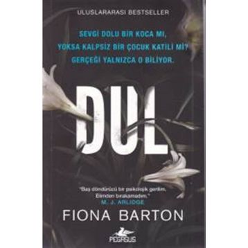 Dul - Fiona Barton