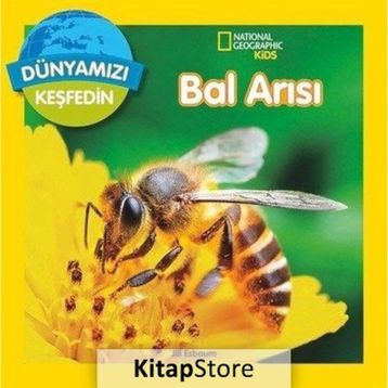 Dünyamızı Keşfedin - Bal Arısı - Jill Esbaum
