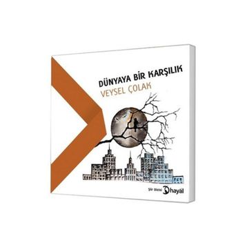 Dünyaya Bir Karşılık - Veysel Çolak