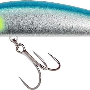 Duo CCC0517 Terrif DC-9 Bullet Marine Ayu
