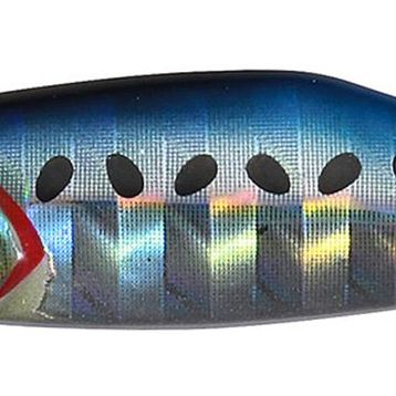 Duo PHA0011 Tetra Jig 7 gr Sardine Balık Yemi