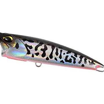Duo Realis Fangpop Suni Yem