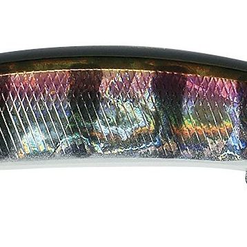 Duo Realis Jerkbait 120f Ada 3058 Prism Gill