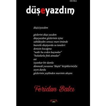 Düşeyazdım - Feridun Balcı