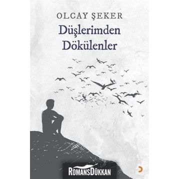 Düşlerimden Dökülenler - Olcay Şeker