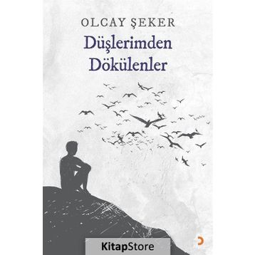 Düşlerimden Dökülenler - Olcay Şeker