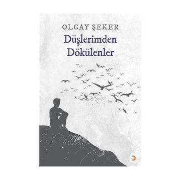 Düşlerimden Dökülenler - Olcay Şeker