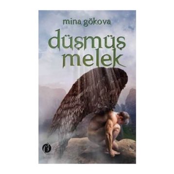 Düşmüş Melek - Mine Gökova