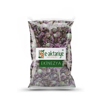 E-Aktariye 100 gr Ekinezya