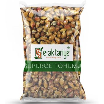 E-Aktariye 100 gr Süpürge Tohumu