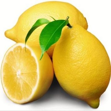 E-Fidancım Tüplü Enter Limon Fidanı