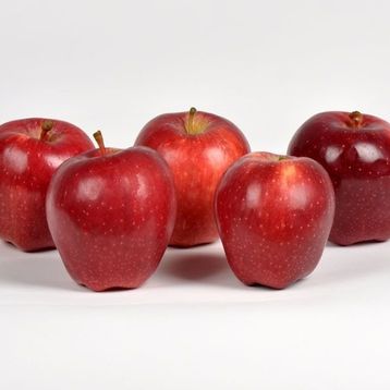E-Fidancım Tüplü Red Chief Elma Fidanı