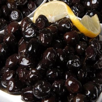 E-Fidancımgemlik Salamuralık Trilye 1 Yaş Zeytin Fidanı