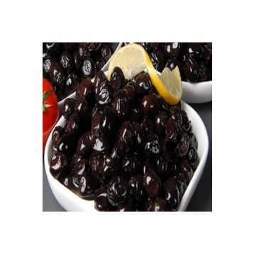 E-Fidancımgemlik Salamuralık Trilye 1 Yaş Zeytin Fidanı