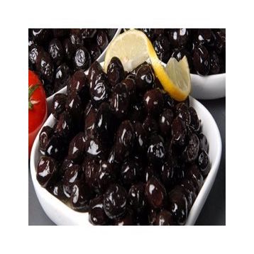 E-Fidancımgemlik Salamuralık Trilye 1 Yaş Zeytin Fidanı
