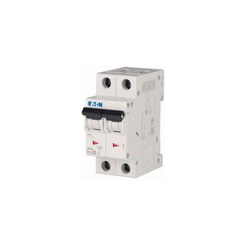 Eaton 286562 PL6-C2/2 2X2A C 6KA Otomatik Sigorta