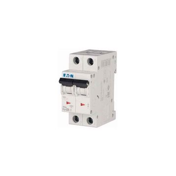 Eaton 286564 PL6-C6/2 2X6A C 6KA Otomatik Sigorta