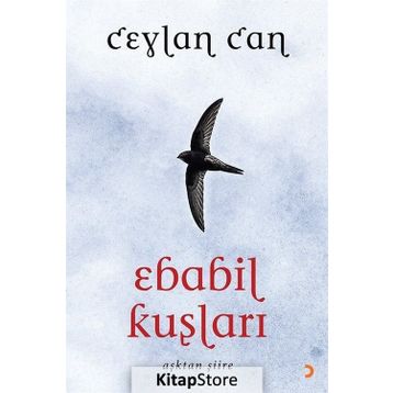 Ebabil Kuşları - Ceylan Can