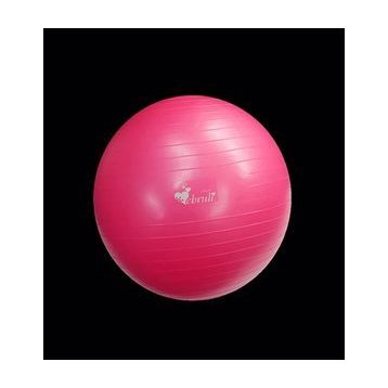 Ebru Pilates Topu