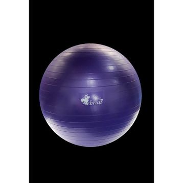 Ebru Pilates Topu