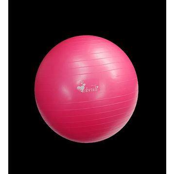 Ebru Pilates Topu