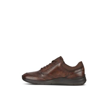 Ecco Irving Kahve Erkek Ayakkabı