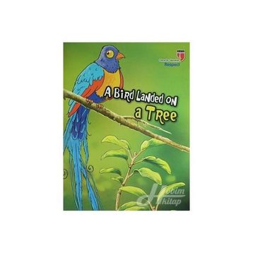 Edam A Bird Landed On Tree - Neriman Karatekin