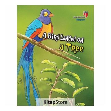 Edam A Bird Landed On Tree - Neriman Karatekin