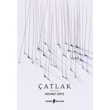 Edebi Şeyler Çatlak