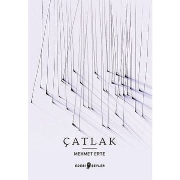Edebi Şeyler Çatlak