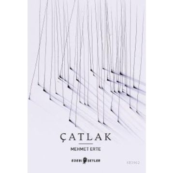 Edebi Şeyler Çatlak