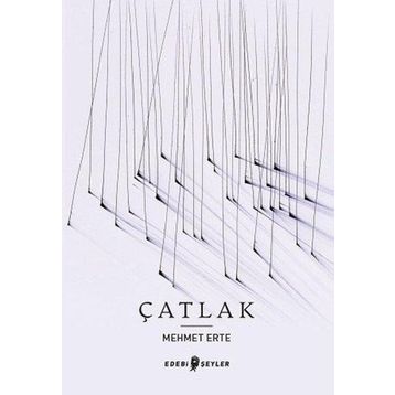 Edebi Şeyler Çatlak