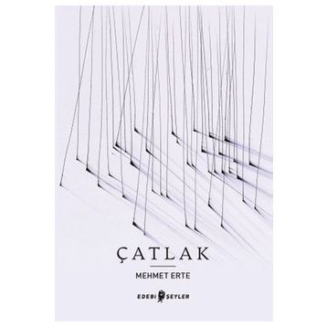 Edebi Şeyler Çatlak