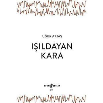 Edebi Şeyler Işıldayan Kara