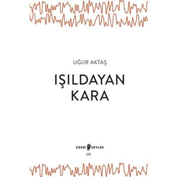 Edebi Şeyler Işıldayan Kara