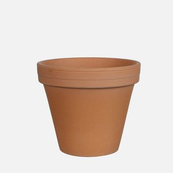 Edelman Stan 20 cm Kahverengi Saksı