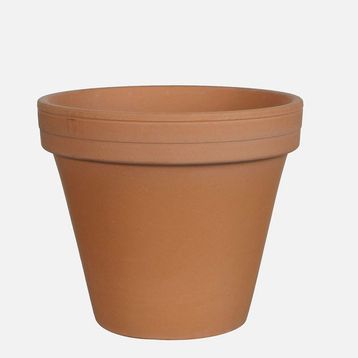 Edelman Stan 24 cm Kahverengi Saksı
