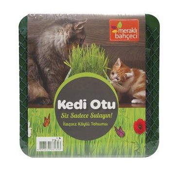 Eden Zirai Kedi Otu