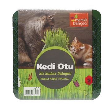 Eden Zirai Kedi Otu