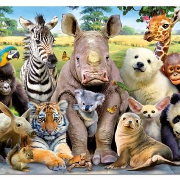 Educa 1000 Parça Sınıf Fotoğrafı Puzzle