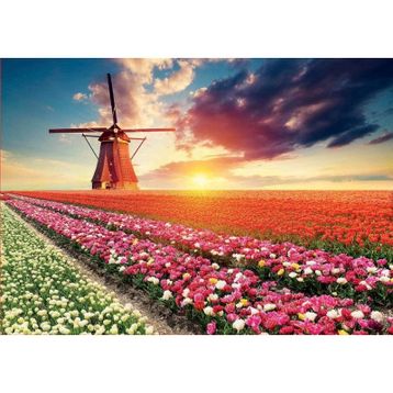 Educa 18465 1500 Parça Lale Manzarası Puzzle