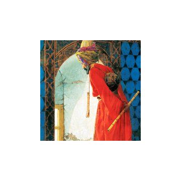 Educa Kaplumbağa Terbiyecisi 1500 Parça Puzzle