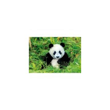 Educa Panda Bear 500 Parça Puzzle