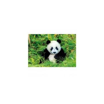 Educa Panda Bear 500 Parça Puzzle