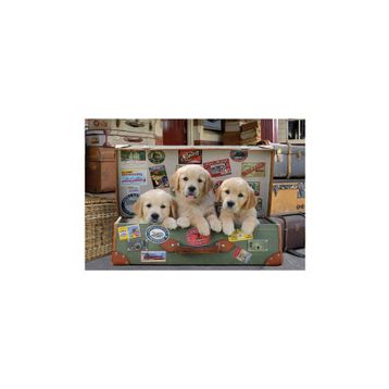 Educa Puppies 500 Parça Puzzle