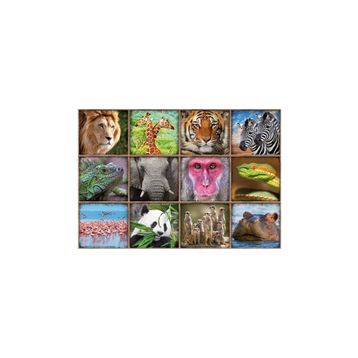 Educa Wild Animals Çocuk Puzzle